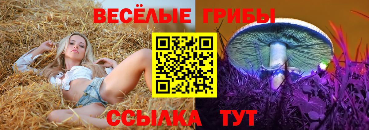Хабаровск  Галлюциногенные грибы Magic Shrooms  Вход с VPN 